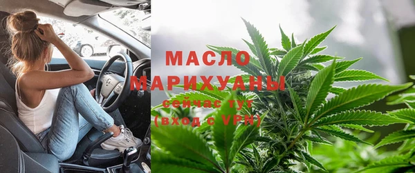 дмт Алексин